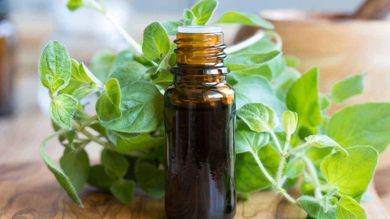 Frasco de aceite esencial de orégano con plantas frescas de orégano alrededor sobre superficie de madera